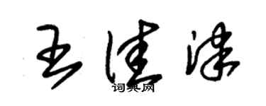 朱锡荣王佳津草书个性签名怎么写