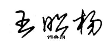 朱锡荣王昭杨草书个性签名怎么写