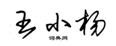 朱锡荣王小杨草书个性签名怎么写