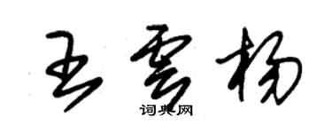 朱锡荣王云杨草书个性签名怎么写