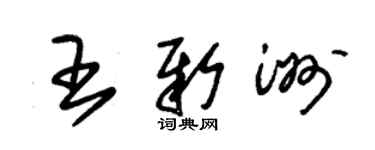 朱锡荣王新洲草书个性签名怎么写