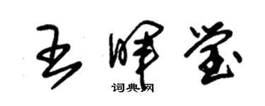 朱锡荣王晖莹草书个性签名怎么写