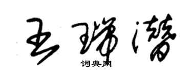 朱锡荣王瑞潜草书个性签名怎么写
