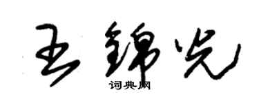 朱锡荣王锦光草书个性签名怎么写