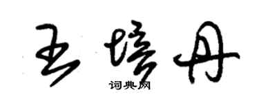 朱锡荣王培丹草书个性签名怎么写