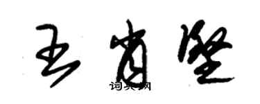 朱锡荣王肖坚草书个性签名怎么写