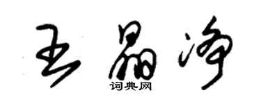 朱锡荣王晶净草书个性签名怎么写