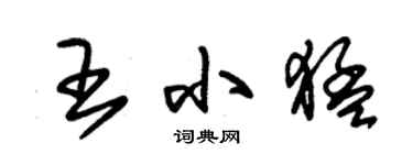 朱锡荣王小猛草书个性签名怎么写