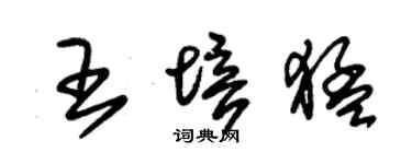 朱锡荣王培猛草书个性签名怎么写