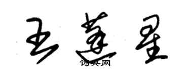 朱锡荣王蓬星草书个性签名怎么写