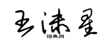 朱锡荣王沫星草书个性签名怎么写