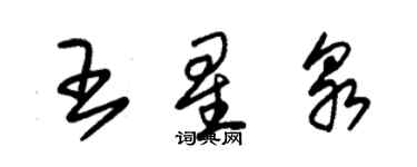 朱锡荣王星泉草书个性签名怎么写