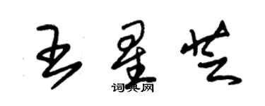 朱锡荣王星芝草书个性签名怎么写