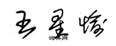 朱锡荣王星愉草书个性签名怎么写