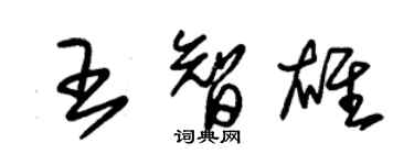朱锡荣王智雄草书个性签名怎么写