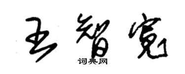 朱锡荣王智宽草书个性签名怎么写