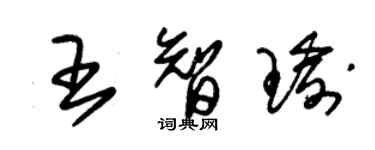朱锡荣王智瑜草书个性签名怎么写