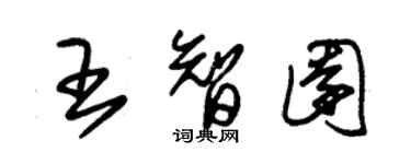 朱锡荣王智园草书个性签名怎么写