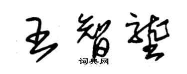 朱锡荣王智垄草书个性签名怎么写