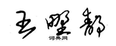 朱锡荣王野静草书个性签名怎么写