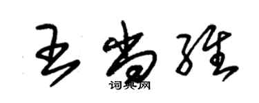 朱锡荣王尚维草书个性签名怎么写