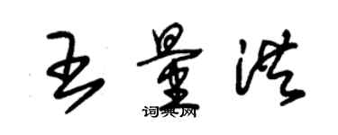 朱锡荣王量洪草书个性签名怎么写