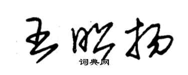 朱锡荣王昭扬草书个性签名怎么写