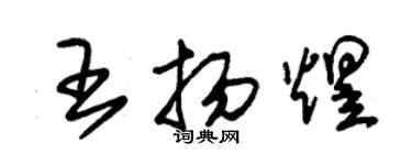 朱锡荣王扬煜草书个性签名怎么写