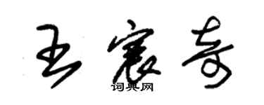 朱锡荣王宸奇草书个性签名怎么写
