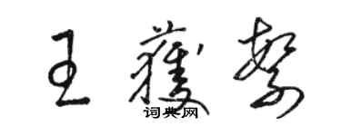 骆恒光王获繁草书个性签名怎么写