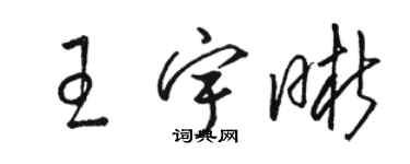 骆恒光王宇晰草书个性签名怎么写