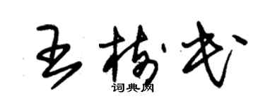 朱锡荣王树民草书个性签名怎么写