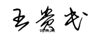 朱锡荣王贵民草书个性签名怎么写