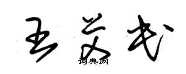 朱锡荣王艾民草书个性签名怎么写