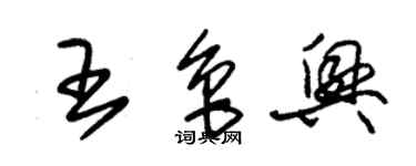 朱锡荣王鲁兴草书个性签名怎么写