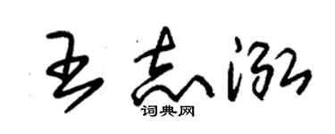 朱锡荣王志泓草书个性签名怎么写