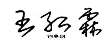 朱锡荣王红霖草书个性签名怎么写