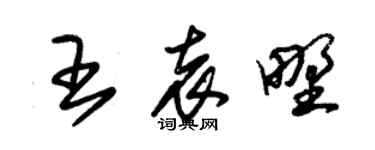 朱锡荣王袁野草书个性签名怎么写