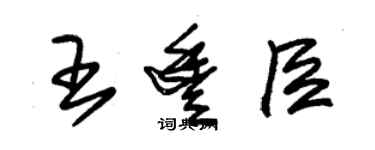 朱锡荣王丰臣草书个性签名怎么写