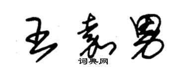 朱锡荣王嘉男草书个性签名怎么写