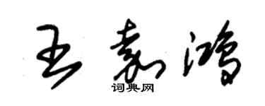 朱锡荣王嘉鸿草书个性签名怎么写