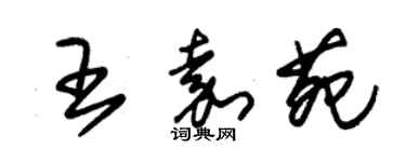 朱锡荣王嘉苑草书个性签名怎么写