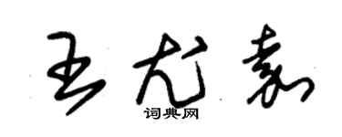 朱锡荣王尤嘉草书个性签名怎么写