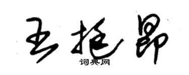 朱锡荣王挺昂草书个性签名怎么写