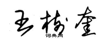 朱锡荣王树奎草书个性签名怎么写