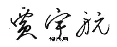 骆恒光贾宇航草书个性签名怎么写