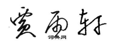 骆恒光贾雨轩草书个性签名怎么写