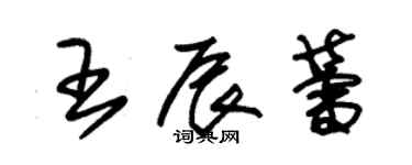 朱锡荣王辰蕾草书个性签名怎么写