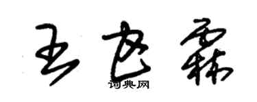 朱锡荣王甘霖草书个性签名怎么写