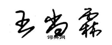 朱锡荣王尚霖草书个性签名怎么写